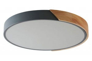 Накладной светильник Zortes ALBERRO ZRS.01280.90 - 2