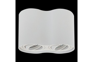 Потолочный светильник Lightstar Binoco 052026 - 2