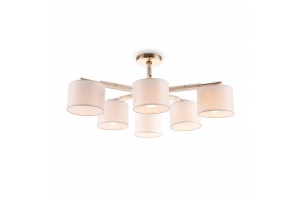 Люстра на штанге Freya Pipe FR5386CL-06G - 2