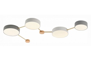 Накладной светильник EVOLUCE Dossena SLE600102-04