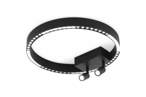 Накладной светильник Ambrella FL FL5806