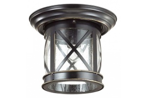 Уличный светильник Odeon Light Nature Sation 4045/1C