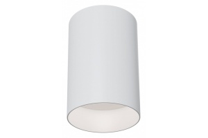 Потолочный светильник Maytoni Alfa C014CL-01W