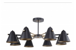 Люстра на штанге F-promo Rigor 2844-8P