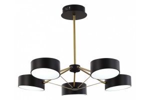 Люстра на штанге EVOLUCE Valle SLE6005-402-05 - 2