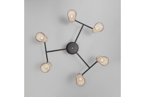 Потолочная люстра Eurosvet Amado 70115/6 черный - 2