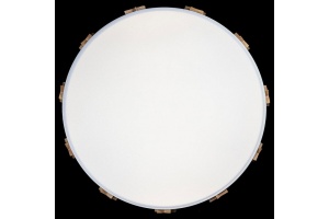 Накладной светильник Loft it Axel 5 10006/36 White - 3