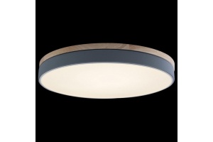 Накладной светильник Loft it Axel 10001/36 Grey - 3