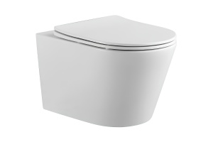 Унитаз подвесной Aquatek Вега 52.5 белый с сиденьем микролифт (AQ1905-00)