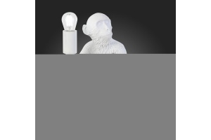 Настольная лампа декоративная EVOLUCE Tenato SLE115104-01 - 3