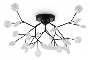 Потолочная люстра Freya Florencia FR5049CL-27B