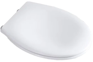 Крышка-сиденье BelBagno Acqua белый (BB2020-1SC)