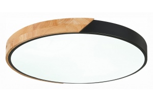 Накладной светильник EVOLUCE Festa SLE200942-01 - 3