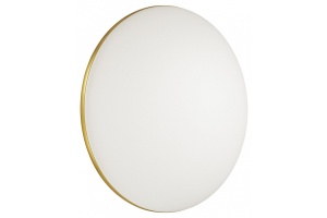 Настенно-потолочный светодиодный светильник Sonex Tan Lassa 3043/DL - 3