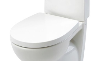 Крышка-сиденье Roca Victoria Nord ZRU9000023 петли хром