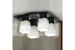 Накладной светильник Lussole Lente LSC-2507-04 - 3