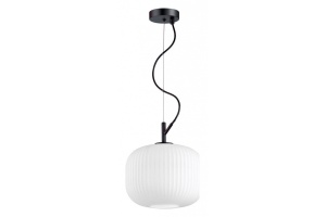 Подвесной светильник Odeon Light Pendant Roofi 4753/1 - 2