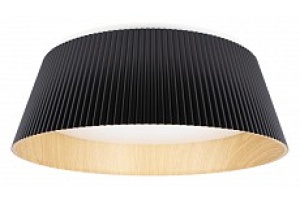 Накладной светильник Loft it Evans 10224 Black - 2