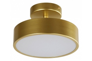 Светильник на штанге F-promo Atma 3059-2P