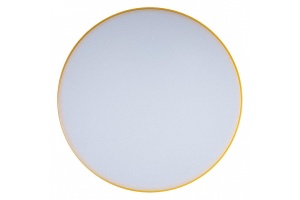 Накладной светильник Loft it Axel 1 10002/24 Yellow - 3