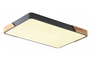 Накладной светильник Zortes ALBERRO ZRS.01277.60 - 2