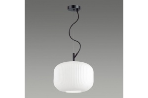 Подвесной светильник Odeon Light Pendant Roofi 4754/1 - 3