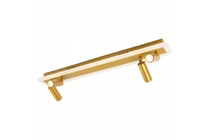 Светодиодный спот Arte Lamp Tommy A2607PL-30GO