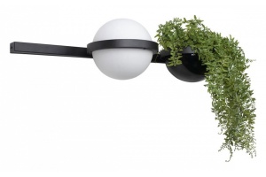 Настенный светильник LOFT IT Jardin 10121W/A - 3