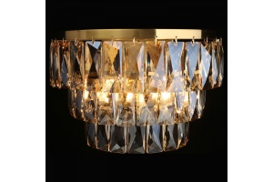 Накладной светильник Aployt Francheska APL.837.01.02 - 2