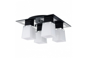 Накладной светильник Lussole Lente LSC-2507-04