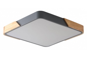 Накладной светильник Zortes ALBERRO ZRS.01288.60 - 2