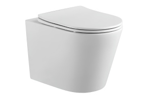 Унитаз подвесной Aquatek Вега 49 белый с сиденьем микролифт (AQ1904-00)