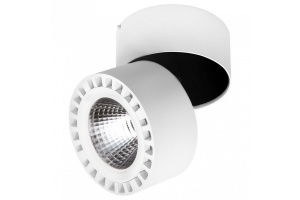 Потолочный светодиодный светильник Lightstar Forte 381363