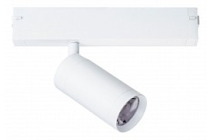 Светильник на штанге Lightstar Teta 205026 - 2