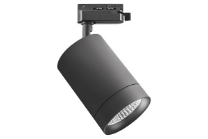 Трековый светодиодный светильник Lightstar Canno Led 303272