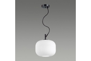 Подвесной светильник Odeon Light Pendant Roofi 4753/1 - 3