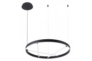 Подвесной светильник Arte Lamp Ricco A1874SP-32BK - 2