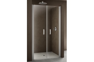 Душевая дверь в нишу Provex Look 0005 LP 05 GL 100 см - 2