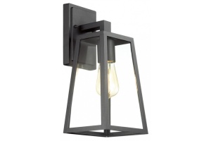 Уличный настенный светильник Odeon Light Nature Clod 4169/1W