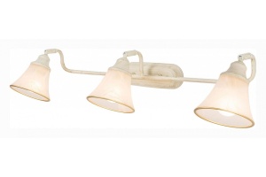 Спот Citilux Прованс CL511534