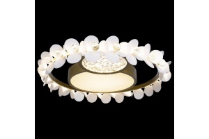 Накладной светильник Loft it Bride 10174 - 2