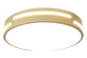 Накладной светильник Zortes Gabby ZRS.90610.30 - 2