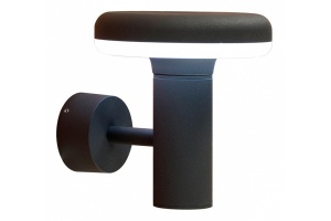 Уличный настенный светодиодный светильник Citilux CLU01W