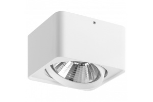 Потолочный светильник Lightstar Monocco 212616