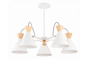 Люстра на штанге EVOLUCE Modica SLE125102-05