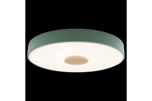 Накладной светильник Loft it Axel 2 10003/24 Green - 3