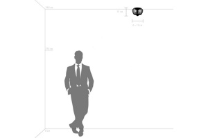 Накладной светильник Lightstar Celesta 809000 - 3