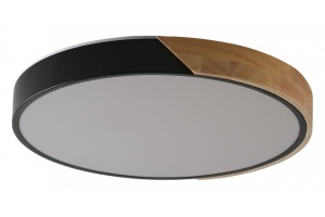 Накладной светильник Zortes ALBERRO ZRS.01287.24 - 2