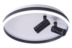 Накладной светильник Zortes Raizy ZRS.1888.01