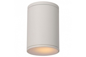 Накладной светильник Lucide Tubix 27870/01/31